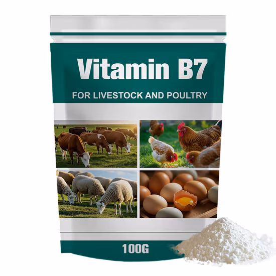 Best Price Pharmaceutical/Food/Feed Grade Vitamin a/Vitamin E/Vitamin C/Vitamin D/Biotin /Folic Acid/Inositol/Florfenicol/Retinol/Vitamin B1/B5/B6/B7/B9/B12