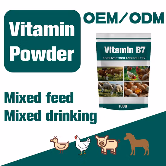 Best Price Pharmaceutical/Food/Feed Grade Vitamin a/Vitamin E/Vitamin C/Vitamin D/Biotin /Folic Acid/Inositol/Florfenicol/Retinol/Vitamin B1/B5/B6/B7/B9/B12